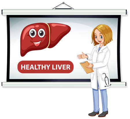 A doctor cartoon character explaining healthy liver  illustrationのイラスト素材