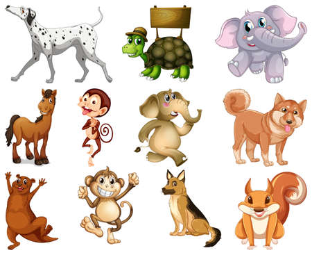 Set of animal cartoon character illustrationのイラスト素材