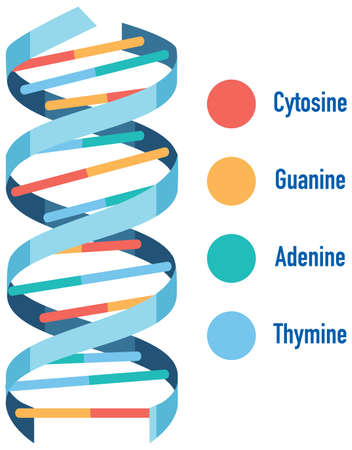 DNA helix symbol isolated on white background illustrationのイラスト素材