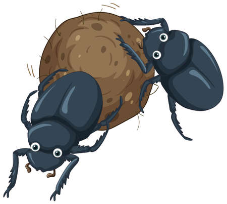 A dung beetle cartoon character illustrationのイラスト素材