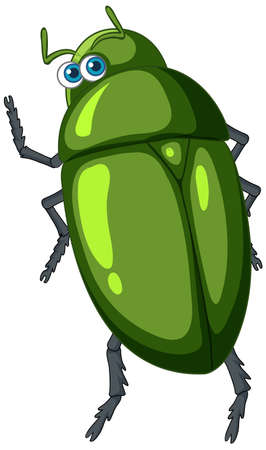 A green beetle cartoon character isolated illustrationのイラスト素材
