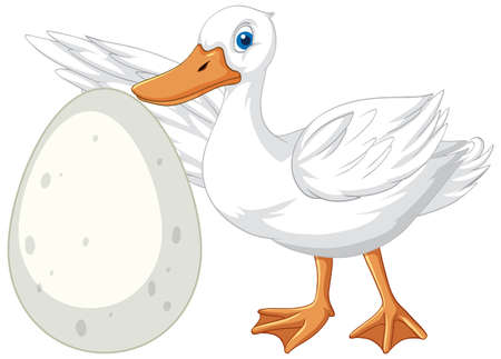 White duck cartoon character on white background illustrationのイラスト素材