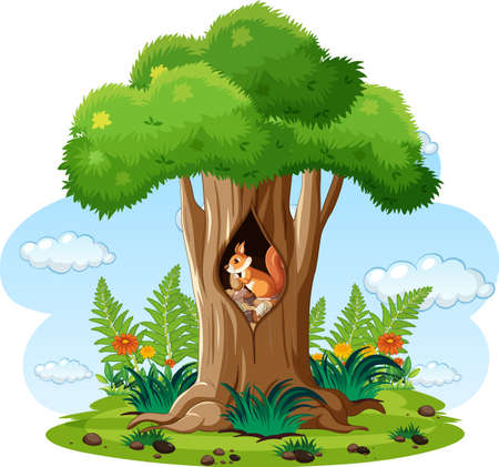 Scene with squirrel eating nuts in hollow illustrationのイラスト素材