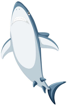 Great white shark cartoon illustrationのイラスト素材