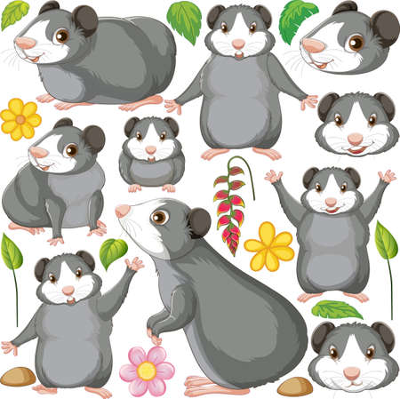 Seamless pattern with cute hamsters illustrationのイラスト素材