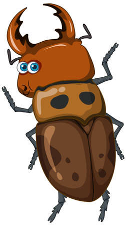 A beetle cartoon character isolated illustrationのイラスト素材