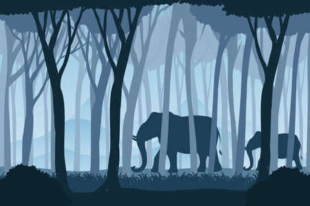 Silhouette shadow of forest scene illustrationのイラスト素材