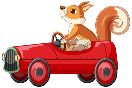 Squirrel driving red car full of nuts illustrationのイラスト素材