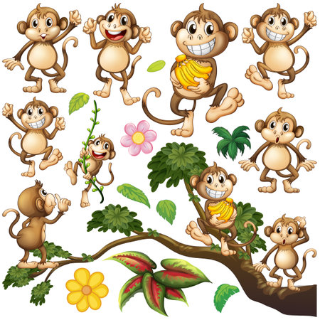 Cute monkey in different actions illustrationのイラスト素材