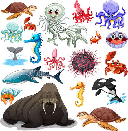 Different types of sea animals illustrationのイラスト素材