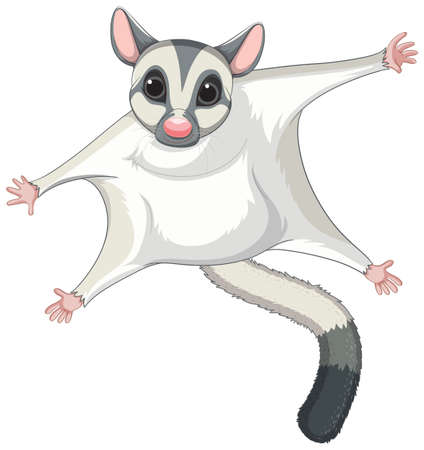 A cute cute sugar glider cartoon character illustrationのイラスト素材