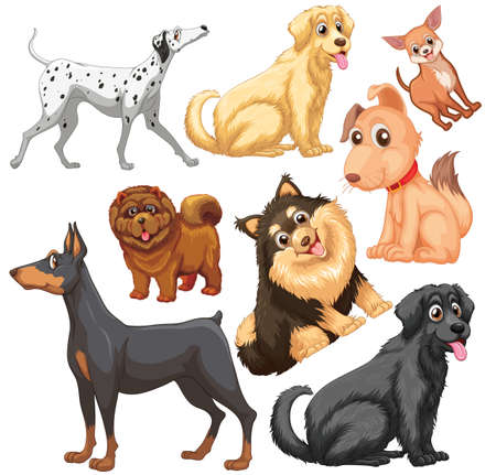 Cute animals cartoon set on white background illustrationのイラスト素材