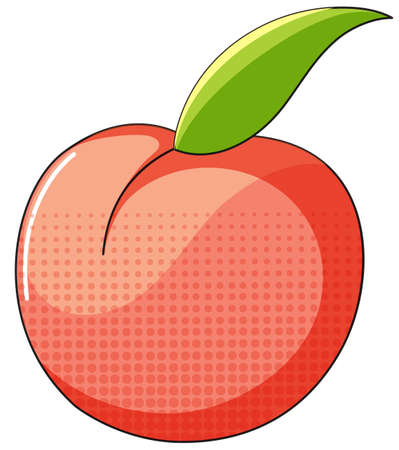 Peach on white background illustrationのイラスト素材