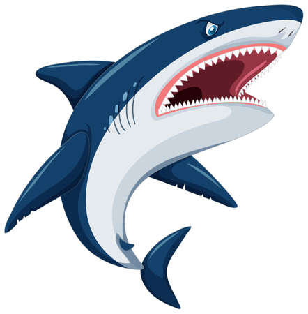 Aggressive great white shark cartoon illustrationのイラスト素材