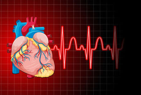Heartbeat with heart rate graph  illustrationのイラスト素材