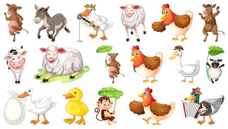 Farm animals on white background illustrationのイラスト素材