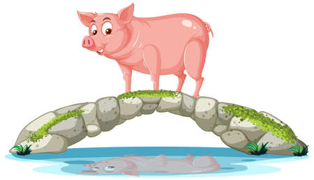 A pig standing on stone bridge illustrationのイラスト素材