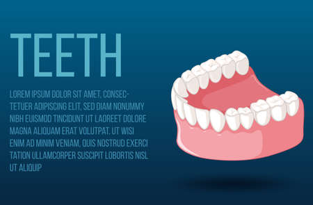Human jaw with teeth illustrationのイラスト素材