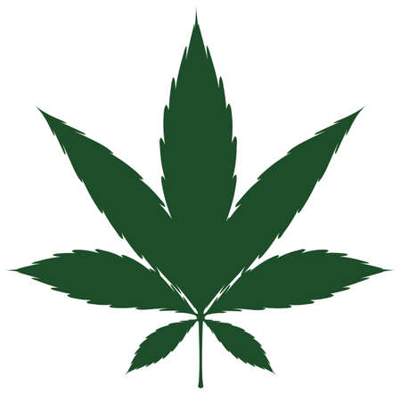 Single cannabis leaf in green color illustrationのイラスト素材
