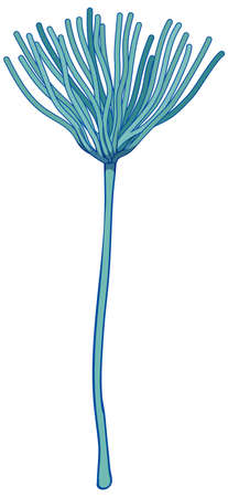 A close up fungus spores illustrationのイラスト素材