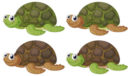 Cute turtle cartoon character on white background illustration