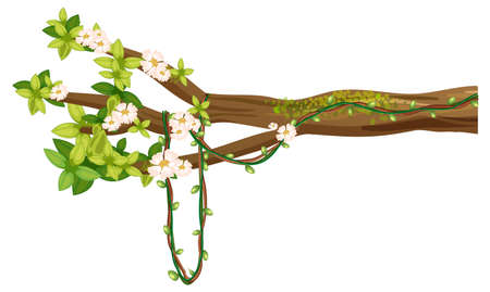 Isolated scooter in cartoon design  illustrationのイラスト素材