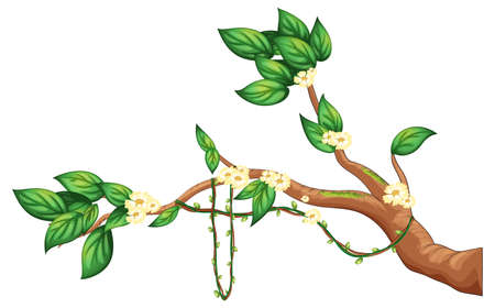 Clown cartoon character isolated illustrationのイラスト素材