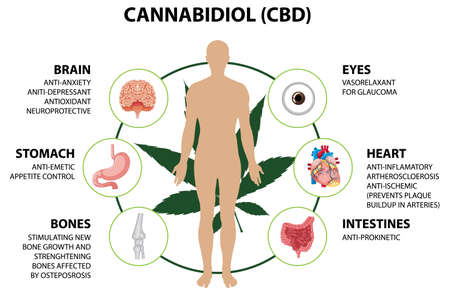 Set of girl choosing cloth illustrationのイラスト素材