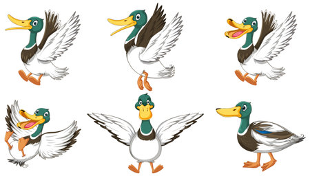 Wild ducks in the forest illustrationのイラスト素材