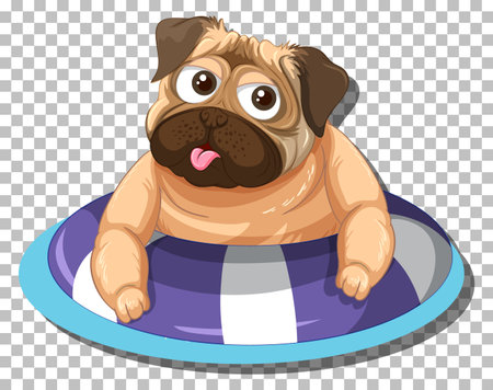 Collection of elderly people characters illustrationのイラスト素材