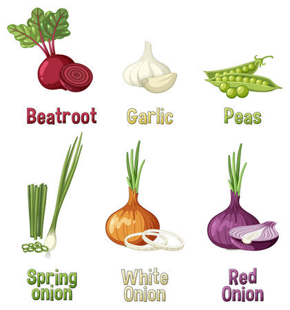 Set of vegetable cartoon illustrationのイラスト素材