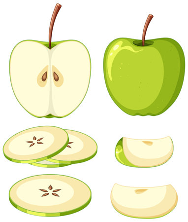 Green apple in whole and sliced pieces illustrationのイラスト素材