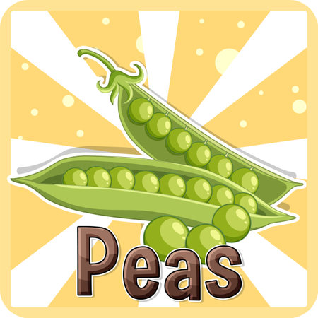 Green peas cartoon style illustrationのイラスト素材
