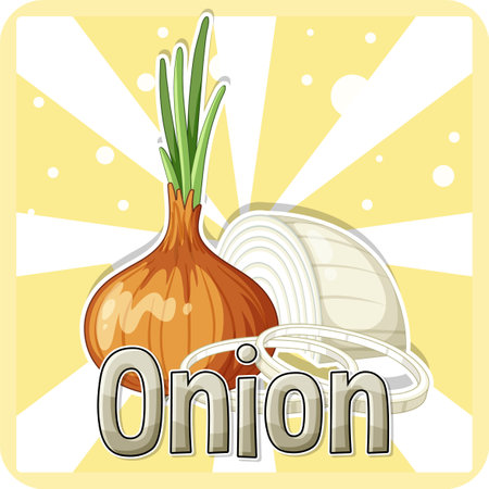 Onion on yellow background illustrationのイラスト素材