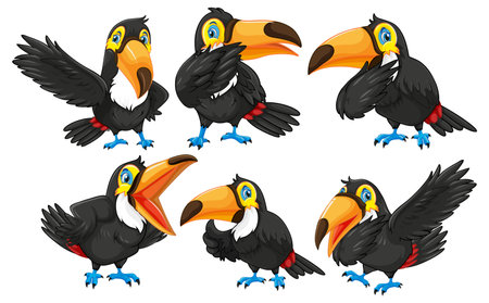 Toucan birds cartoon characters illustrationのイラスト素材