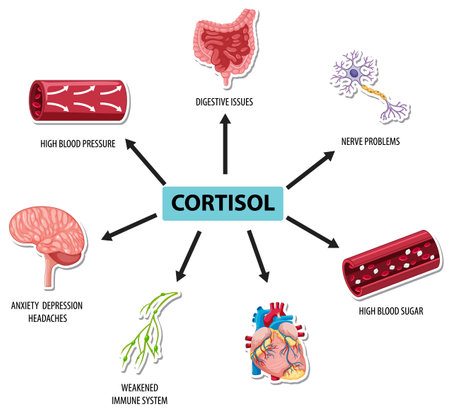 Cortisol hormone with common symptoms diagram illustrationのイラスト素材