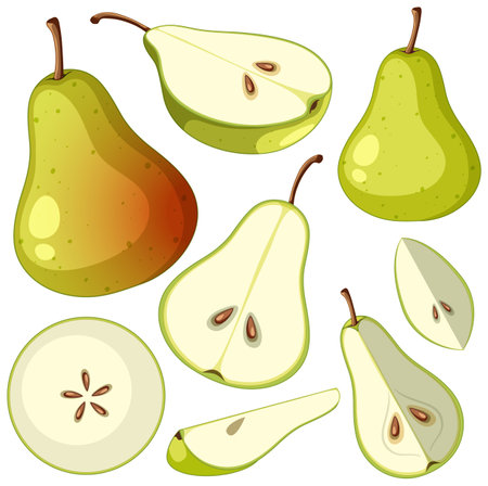 Set of green pear isolated illustrationのイラスト素材