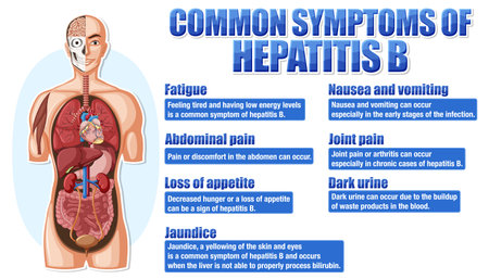 Informative poster of common symptoms Hepatitis B illustrationのイラスト素材