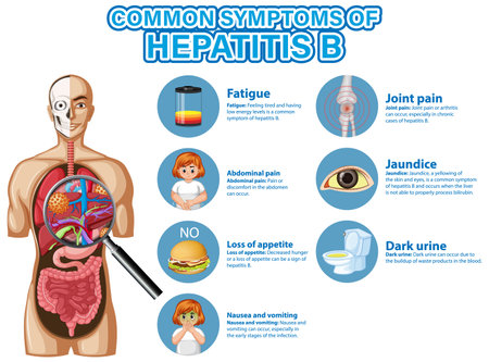 Informative poster of common symptoms Hepatitis B illustrationのイラスト素材