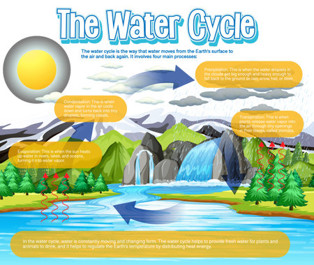 The water cycle diagram for science education illustrationのイラスト素材