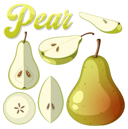 Set of green pear isolated illustrationのイラスト素材