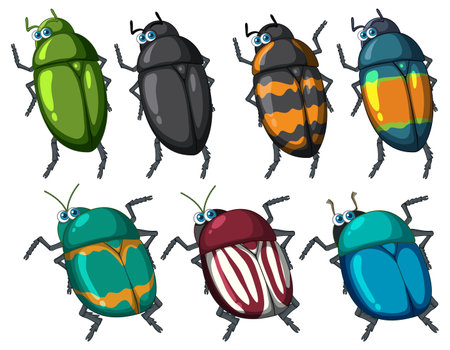 Set of beetle cartoon character illustrationのイラスト素材
