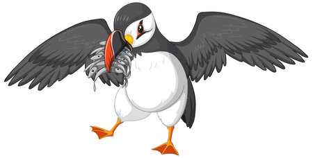 Puffin bird holding fishes in its beak illustrationのイラスト素材