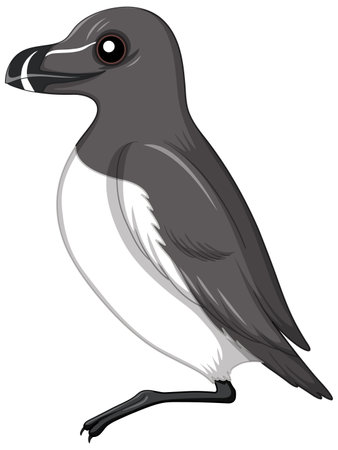 Razorbill bird isolated on white background illustrationのイラスト素材