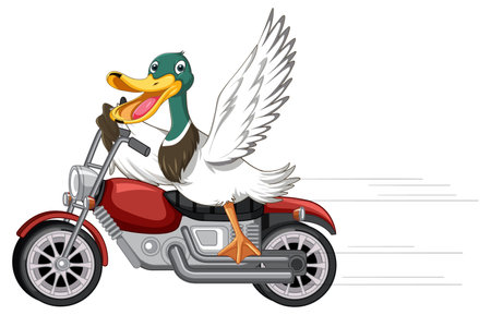 Duck riding motorcycle in cartoon style illustrationのイラスト素材