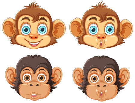 Different Monkey Heads Collection illustrationのイラスト素材