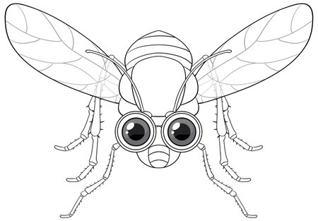 Happy fly cartoon character doodle illustrationのイラスト素材