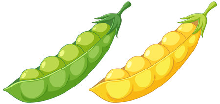 A colorful vector illustration of isolated green and yellow peasのイラスト素材