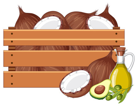 Vector cartoon illustration of organic coconut and avocado oilのイラスト素材