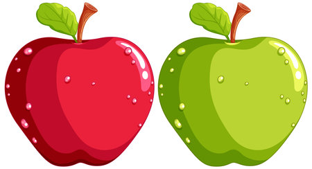 Vector illustration of fresh, dewy red and green apples.のイラスト素材